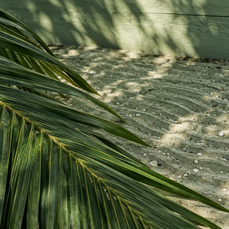 Halloween on South Beach: Where the Night Goes and Where to Sleep It Off